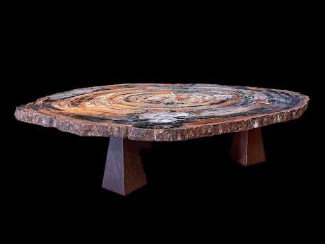 Tisch aus versteinertem Holz (Araucarioxylon arizonicum)